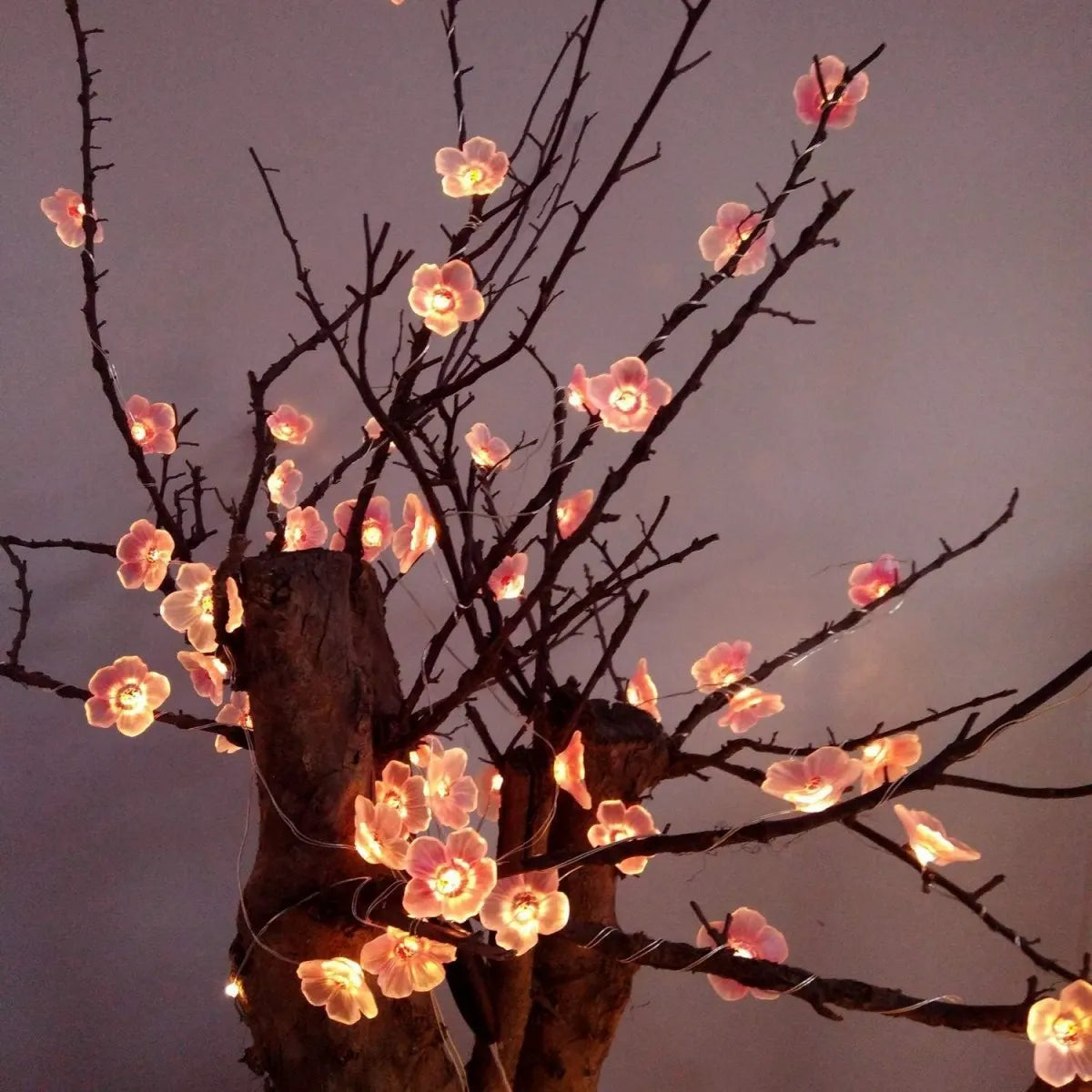 1PC 10/20/30 LED Cherry Blossom Fairy Lights Pink Flower Atmosphere String Lamp Battery Operated  Outdoor Indoor Decorative