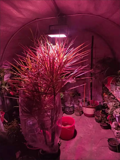 Solar Powered LED Plant Grow Lights with Remote Control Garden Dimmable Grow Lamp Full Spectrum Timer Setting Greenhouse