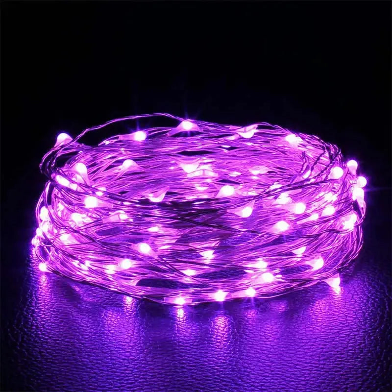 Fairy Light String Led Copper Wire String Light Battery Powered for Bedroom Garden Party Christmas Wedding Decoration